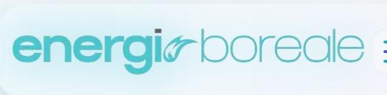 Logo Boréal energie
