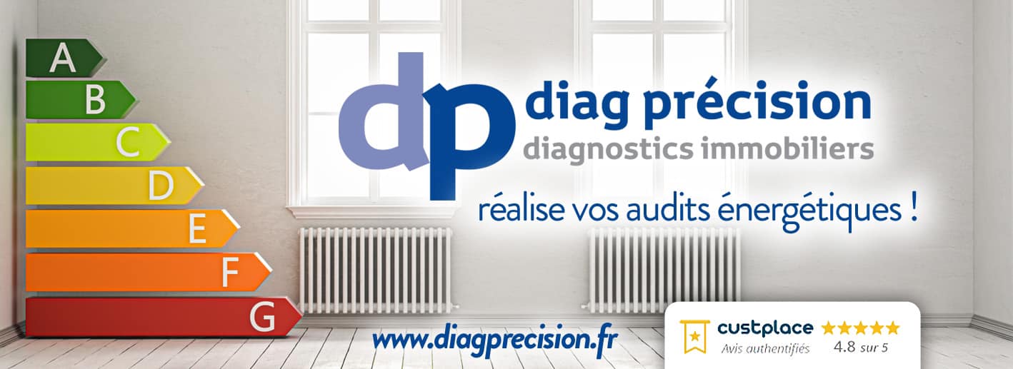 Logo DIAG PRECISION 58